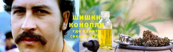 ГАЛЛЮЦИНОГЕННЫЕ ГРИБЫ Алзамай