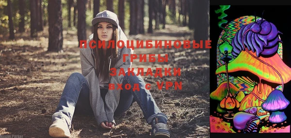 ГАЛЛЮЦИНОГЕННЫЕ ГРИБЫ Алзамай