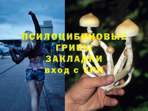 ГАЛЛЮЦИНОГЕННЫЕ ГРИБЫ Алзамай
